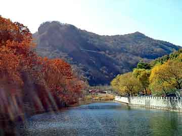 管家婆黑白马报图库，yy小号